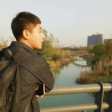 一棵李子树
