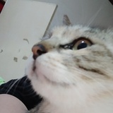 朱朱朱