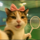 天上的猫