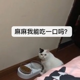 胖瓜麻麻
