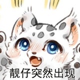 猫和啾啾