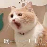 吉吉