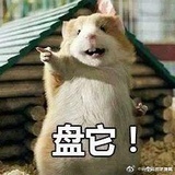 阿兹喵养格格巫