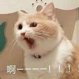 已注册