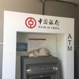 一滴月亮