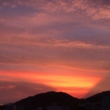惹惹