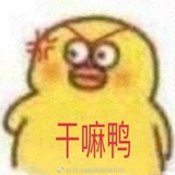 大头