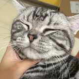 甜甜