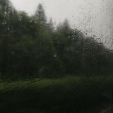 临水映棠