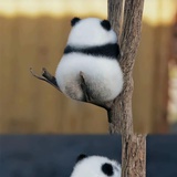 明月天衣