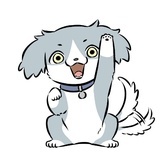 月饼不喜