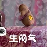 吃瓜撒