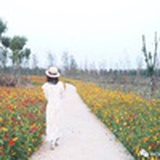好多橘