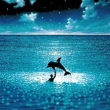 J🐳