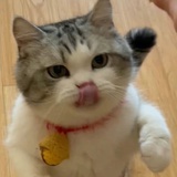 江东孙伯符
