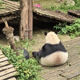 尹恩