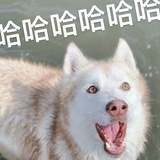 生当得意