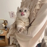 winwinwon