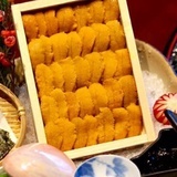 猫小羊