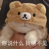 臭臭猫