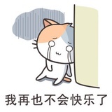 快乐的小鲸鱼