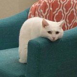 快点睡觉吧