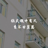 横滨的暖流