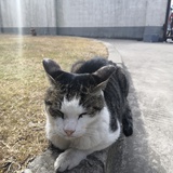 liuhaoadd