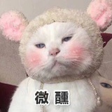 追追不谙