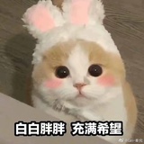 江湖片子