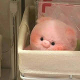 深海咸鱼小饼干
