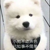 万叶千声