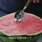 吃🍉乐子人