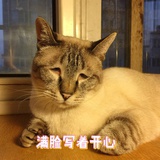 meimei