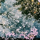 对好的人好