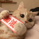 王小圈