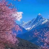 月影沙丘