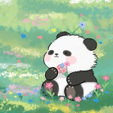 妙卡