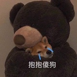 鲤鱼bear
