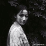 虞