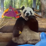 啦啦啦