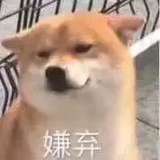 sansansan