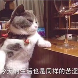 呐呐呐呐呐