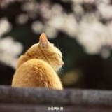 雨笋子