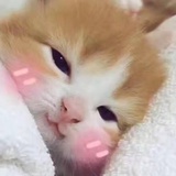 河妖