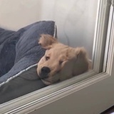 再嗑一口