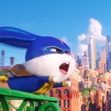 BlueNoPig