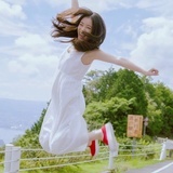 誓鸟