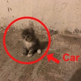 提问箱