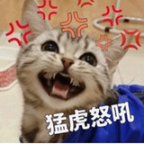 绵绵冰